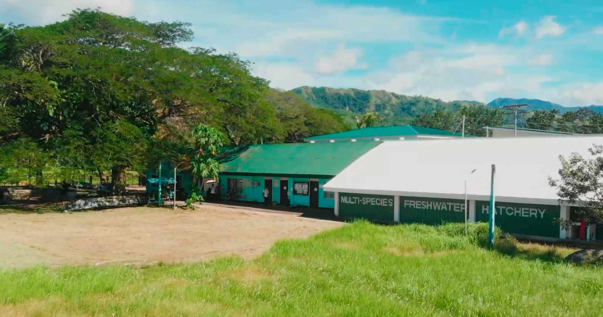 College Activity Forms Logo